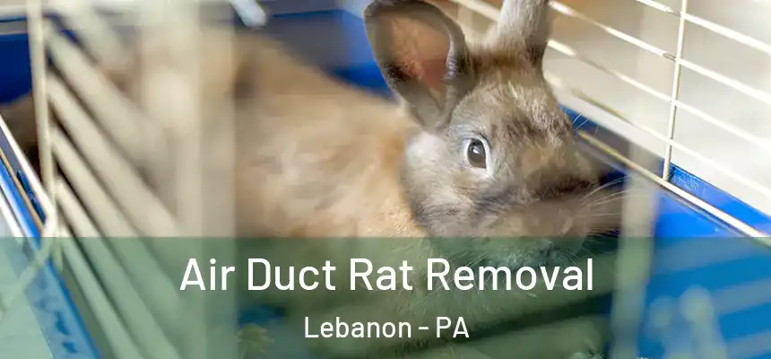  Air Duct Rat Removal Lebanon - PA