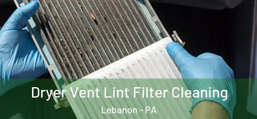  Dryer Vent Lint Filter Cleaning Lebanon - PA