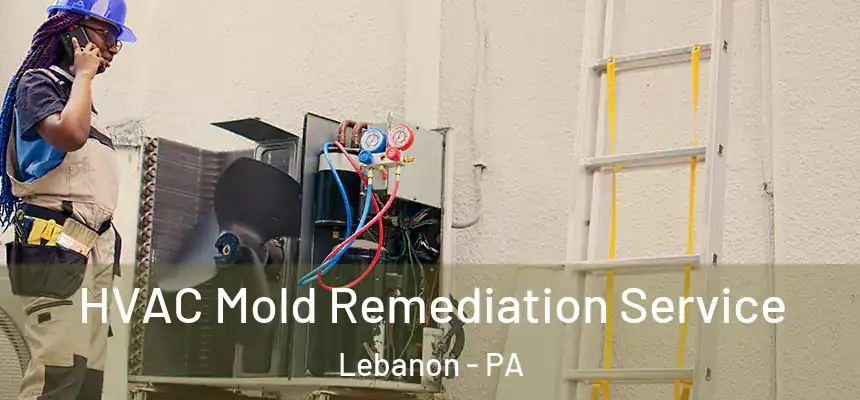  HVAC Mold Remediation Service Lebanon - PA