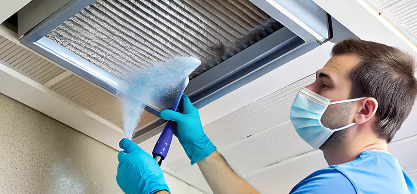 Proactive Dryer Vent & Auxiliary Duct Pollen Cleanup in Lebanon, PA