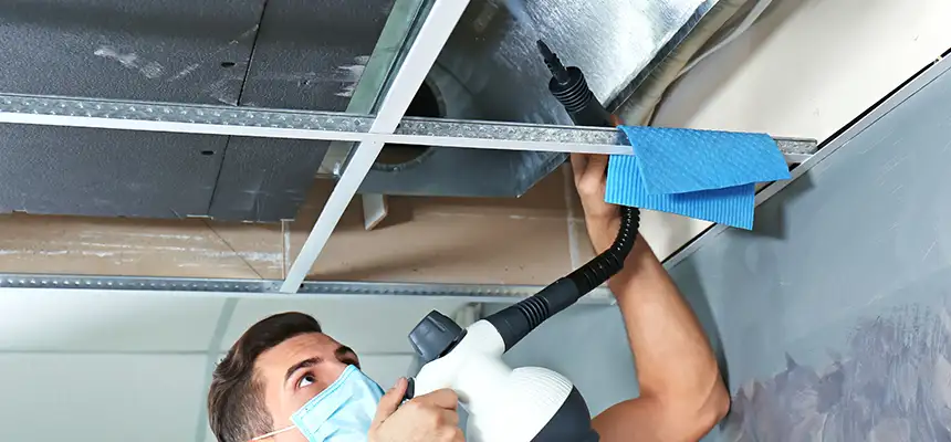 Our Air Duct Rodent Removal Services in Lebanon, PA