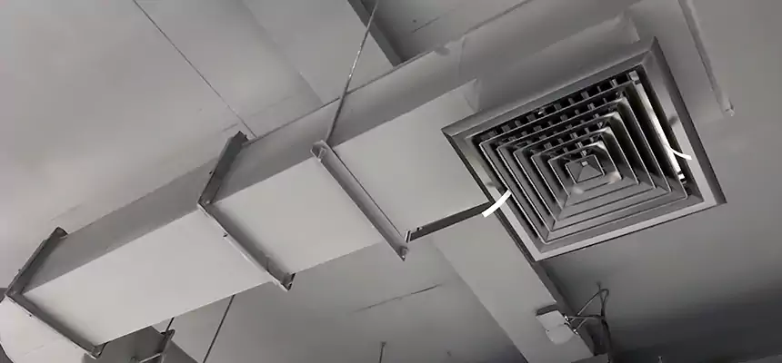 Our Pest Removal From Ducts Services in Lebanon, PA