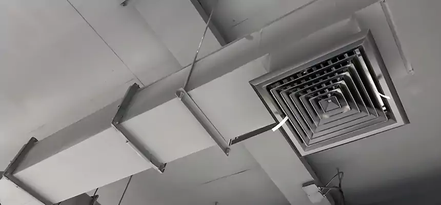 Our Rodent Droppings In Vents Services in Lebanon, PA