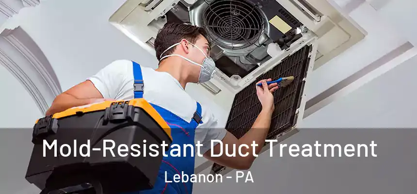  Mold-Resistant Duct Treatment Lebanon - PA