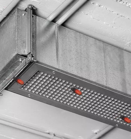 Affordable Insect Removal from Air Ducts in Lebanon, PA